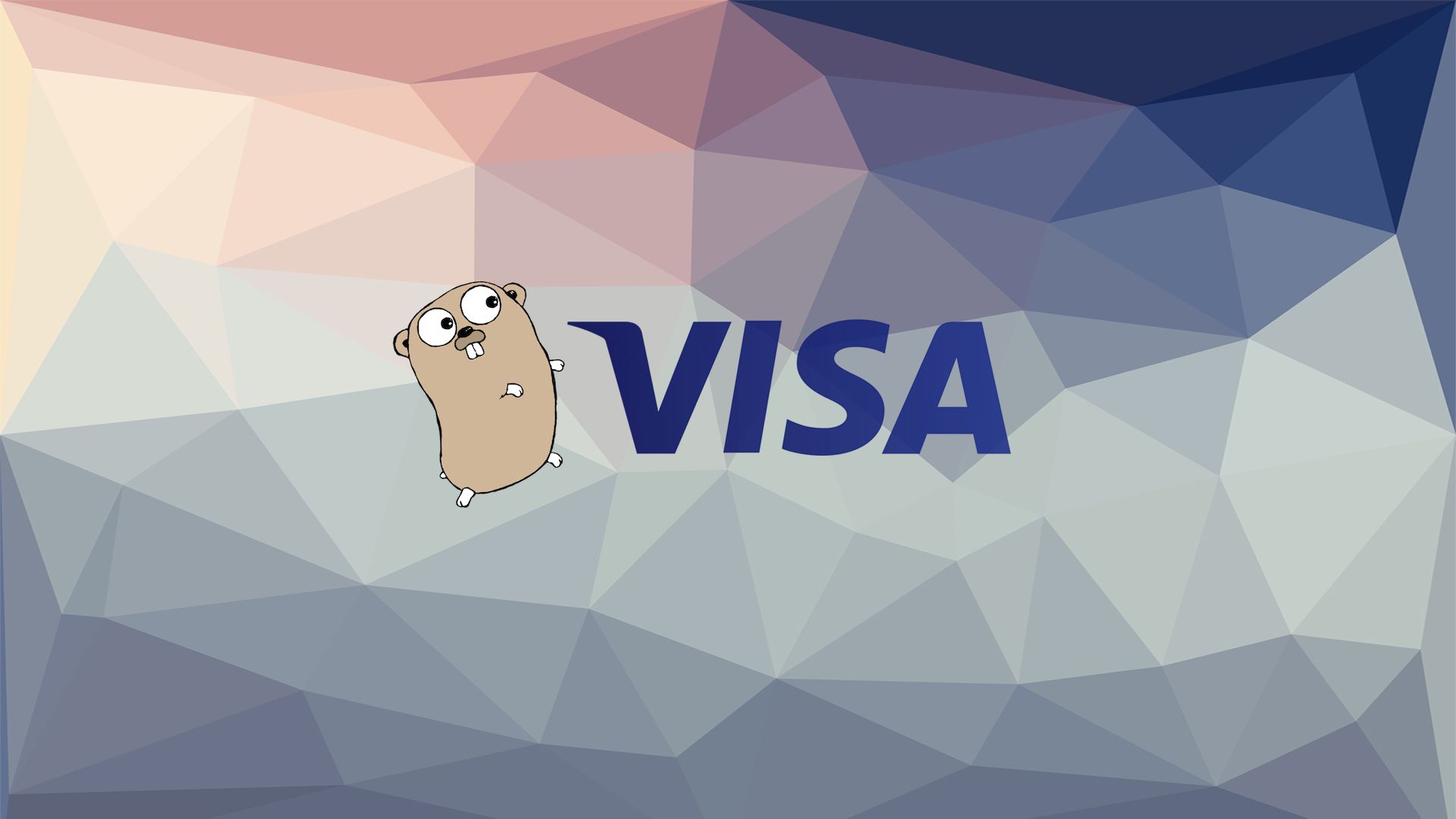 Go package for the Visa developer API