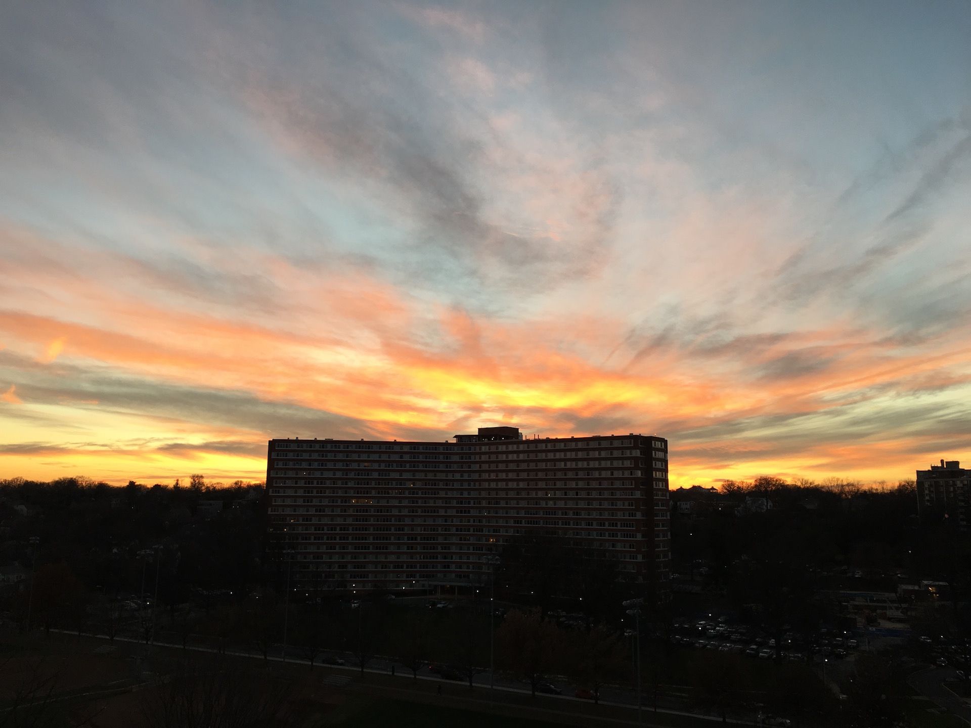 Weekly update - 13 January 2016