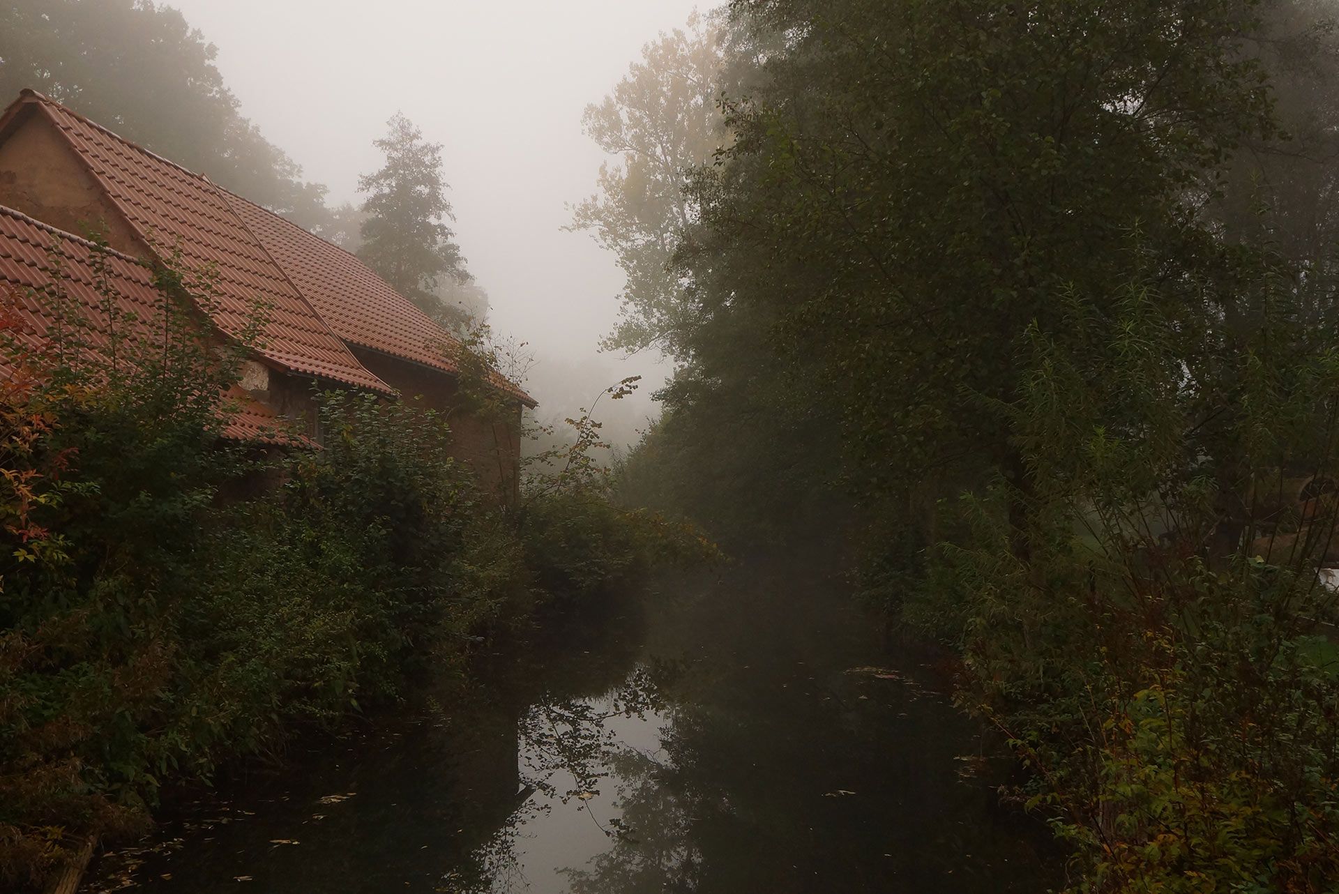 Weekly update: 16 June 2016