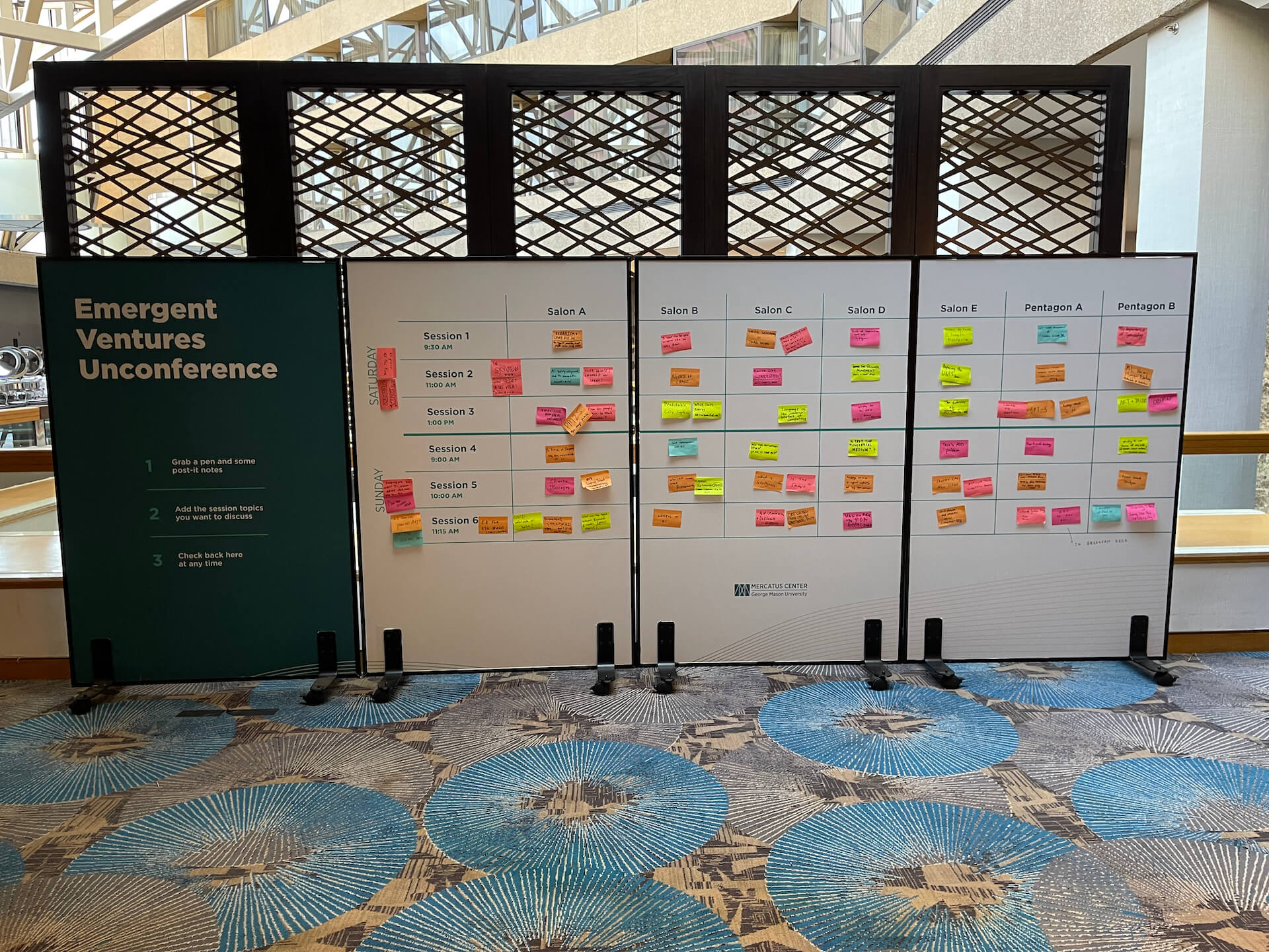 Emergent Ventures Unconference 2023: Diverse Perspectives