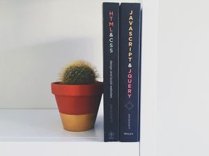 A Front End Journey