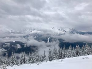 Back in the game (a half year update)