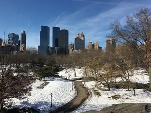 Weekly update - 1 February 2016