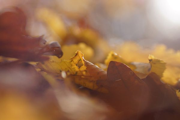 Bank: Authentication update to stronger standards