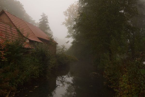 Weekly update: 16 June 2016